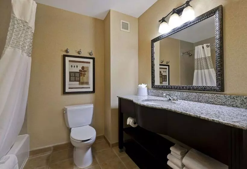 Отель Hampton Inn & Suites Tahoetruckee