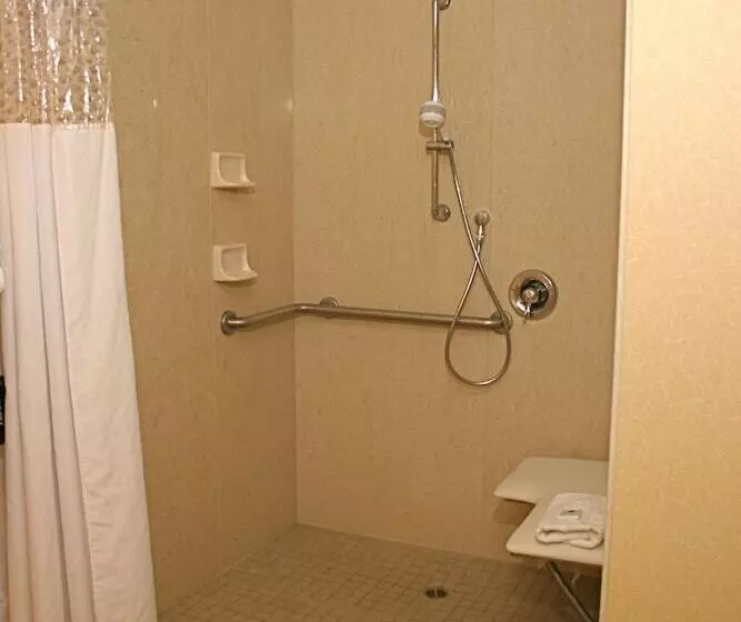 Отель Hampton Inn & Suites Tahoetruckee