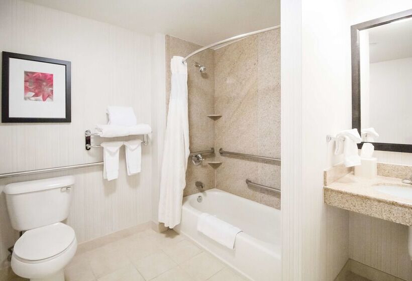 ホテル Hilton Garden Inn Phoenix/Avondale