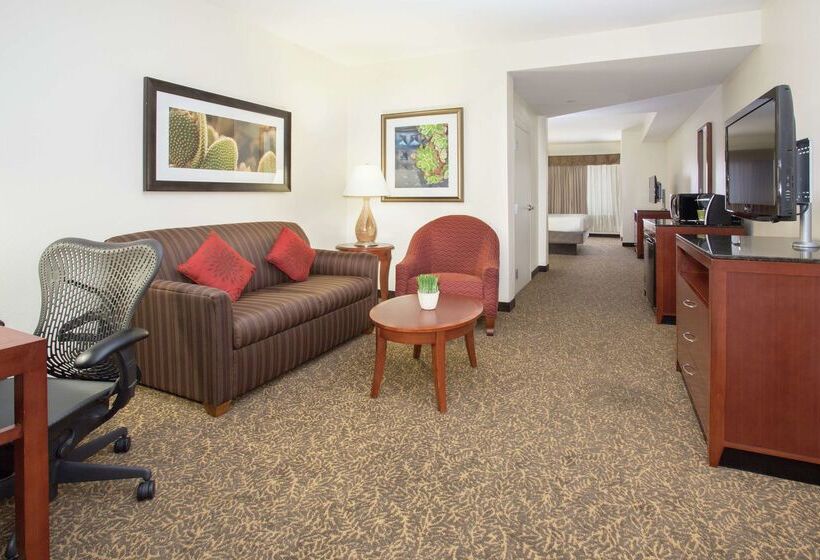 ホテル Hilton Garden Inn Phoenix/Avondale