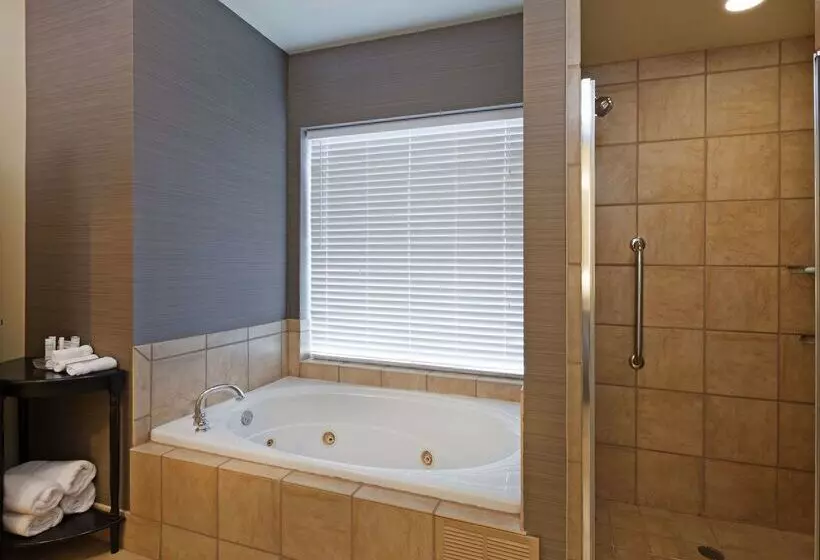 酒店 Homewood Suites By Hilton Wichita Falls