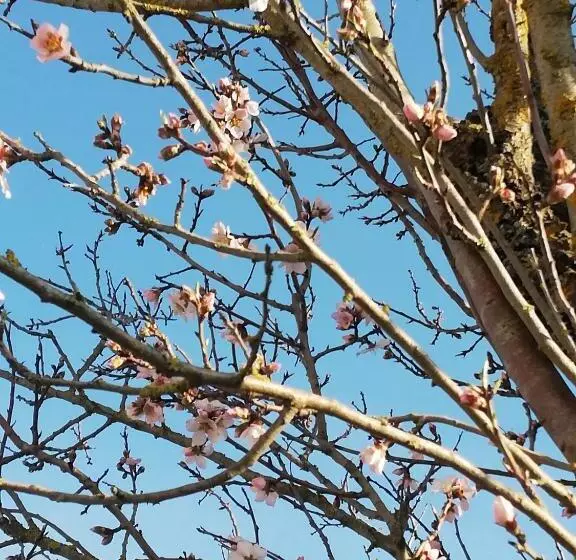 Отель Parco Ducale Country House