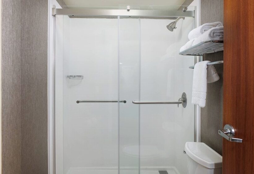 酒店 Springhill Suites By Marriott Baton Rouge North / Airport