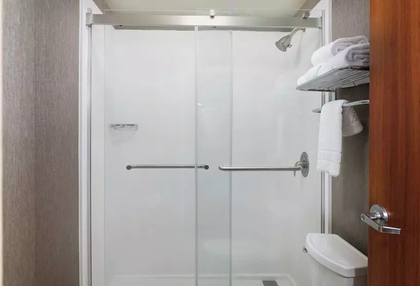 هتل Springhill Suites By Marriott Baton Rouge North / Airport