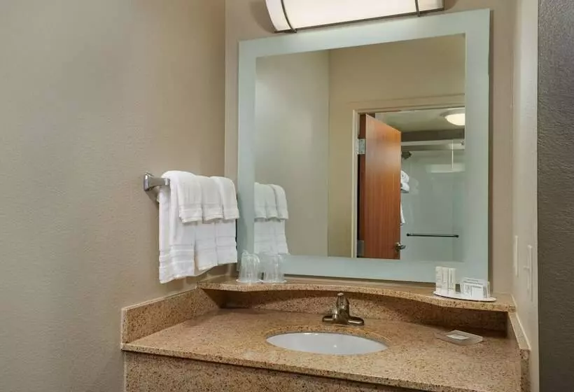 هتل Springhill Suites By Marriott Baton Rouge North / Airport