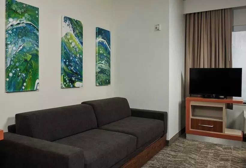 هتل Springhill Suites By Marriott Baton Rouge North / Airport