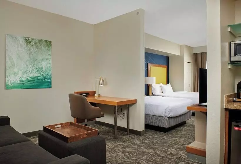 هتل Springhill Suites By Marriott Baton Rouge North / Airport