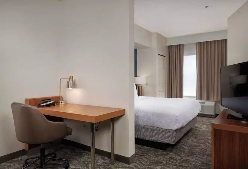 هتل Springhill Suites By Marriott Baton Rouge North / Airport
