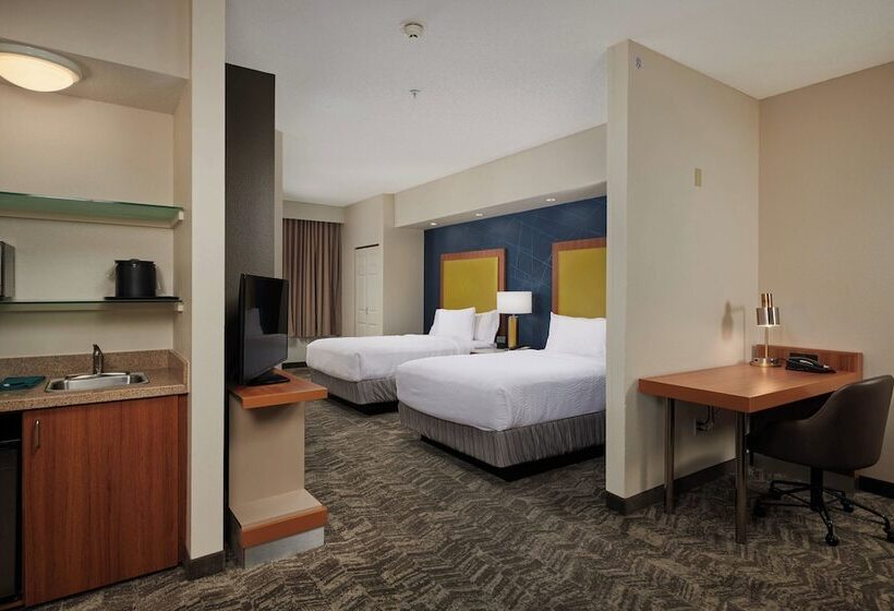 酒店 Springhill Suites By Marriott Baton Rouge North / Airport