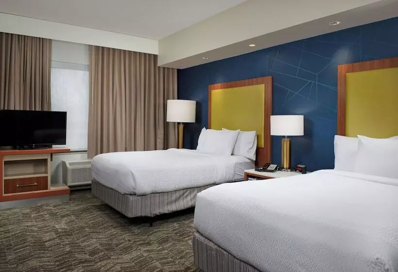 هتل Springhill Suites By Marriott Baton Rouge North / Airport
