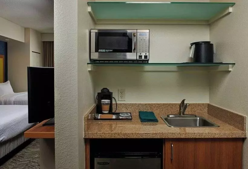 هتل Springhill Suites By Marriott Baton Rouge North / Airport