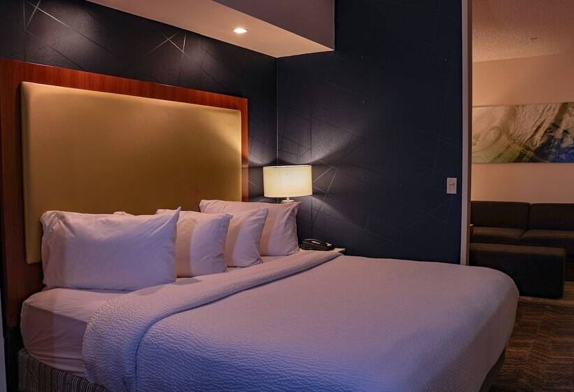 酒店 Springhill Suites By Marriott Baton Rouge North / Airport