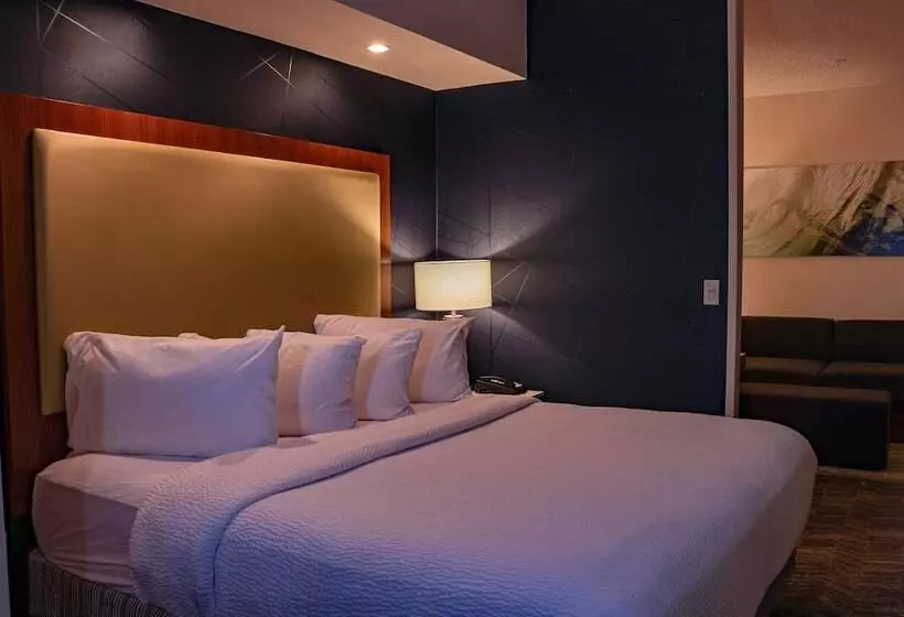 هتل Springhill Suites By Marriott Baton Rouge North / Airport