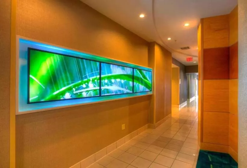 酒店 Springhill Suites By Marriott Tampa Brandon