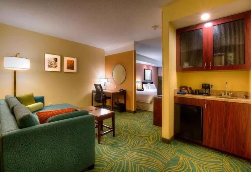 酒店 Springhill Suites By Marriott Tampa Brandon