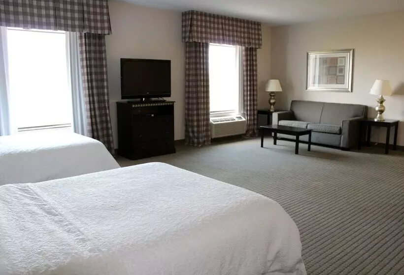 Hampton Inn & Suites Mount Pleasant