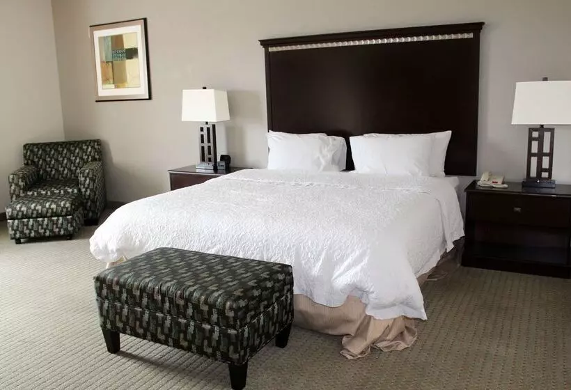 Hampton Inn & Suites Mount Pleasant