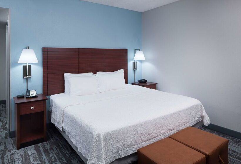 Hampton Inn & Suites Oklahoma City Bricktown