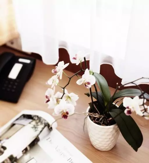 Отель Burgmeier