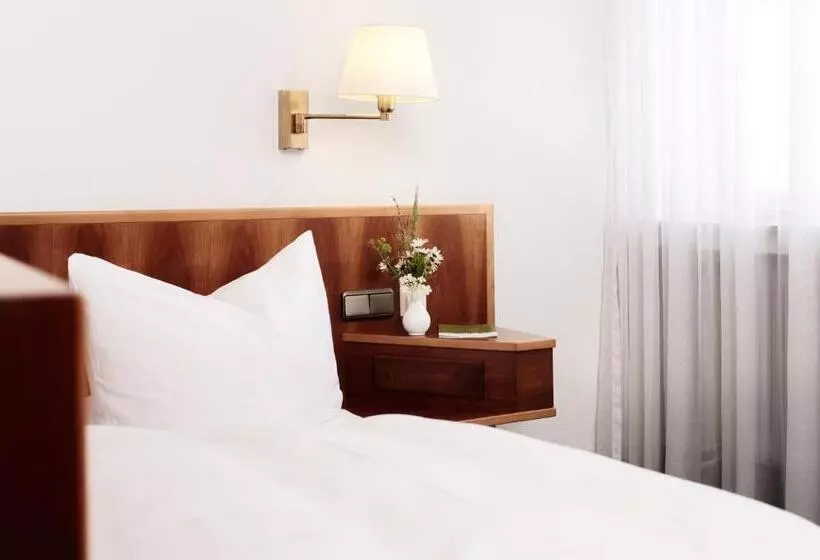 Отель Burgmeier