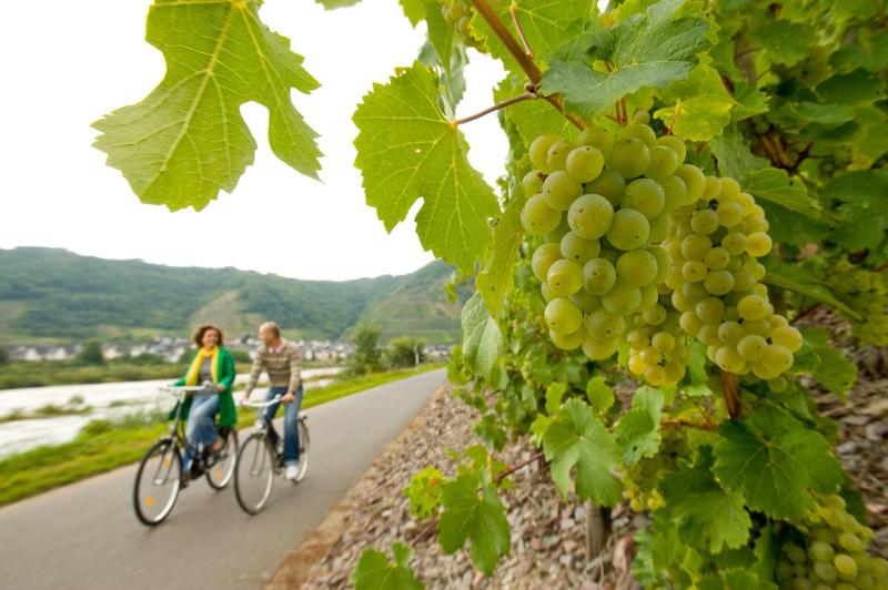 בית מלון כפרי Deutscher Hof