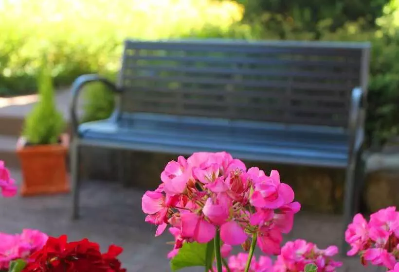 酒店 Flora Mohringen