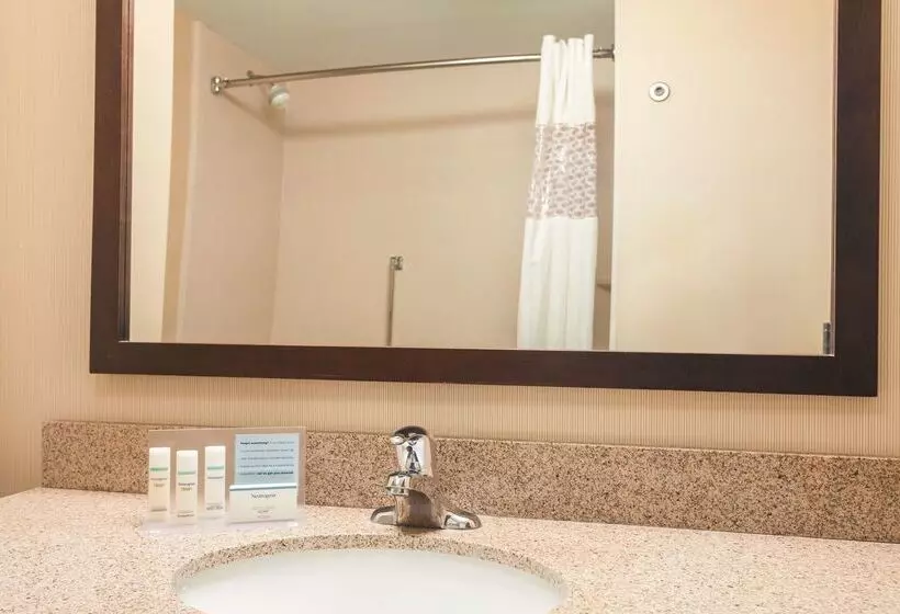 בית מלון כפרי Hampton Inn & Suites Lake George