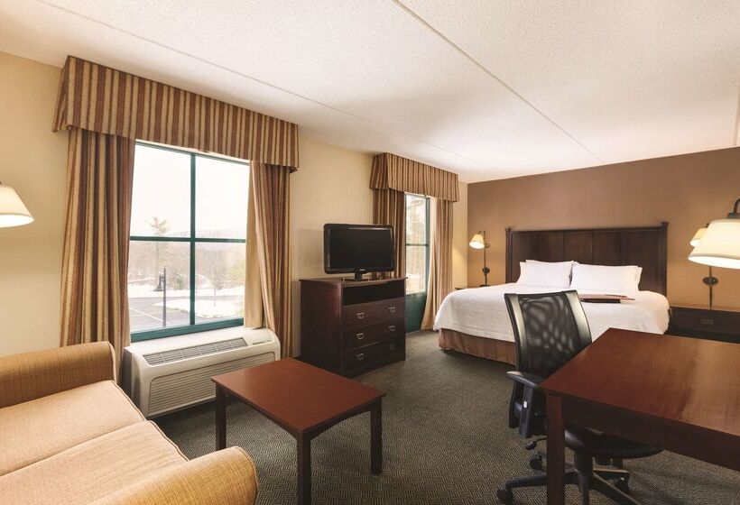 فندق Hampton Inn & Suites Lake George