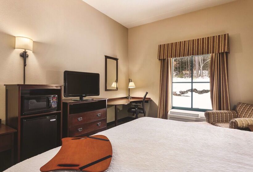 فندق Hampton Inn & Suites Lake George