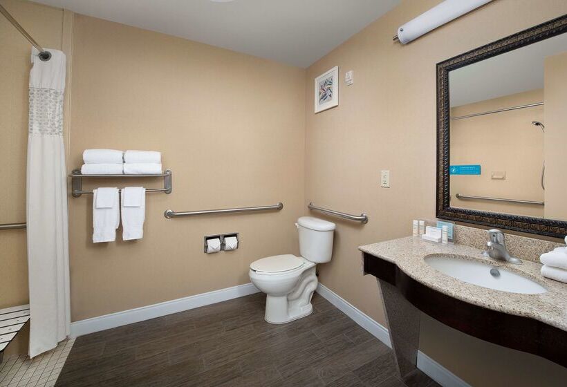 酒店 Hampton Inn & Suites Lakeland South Polk Parkway