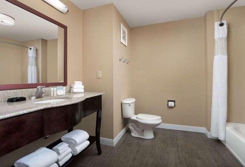 酒店 Hampton Inn & Suites Lakeland South Polk Parkway