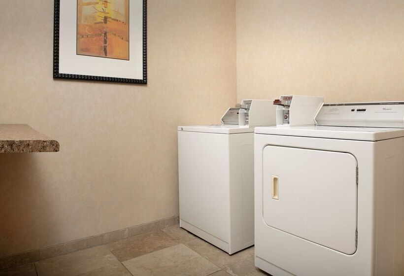 酒店 Hampton Inn & Suites Lakeland South Polk Parkway