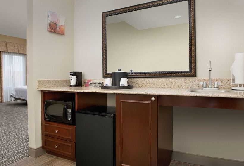 酒店 Hampton Inn & Suites Lakeland South Polk Parkway
