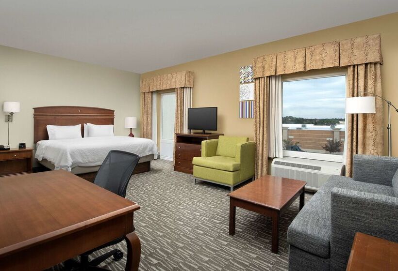 酒店 Hampton Inn & Suites Lakeland South Polk Parkway