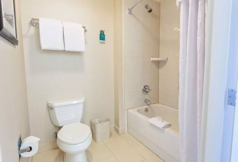 Отель Homewood Suites By Hilton Carlsbadnorth San Diego County