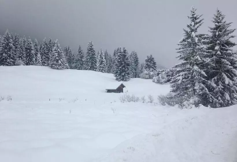 Отель Krone Tirol