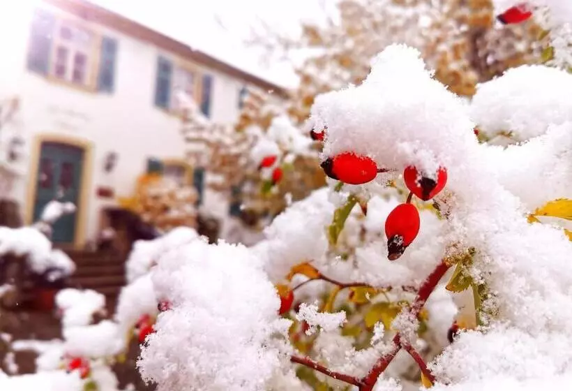 בית מלון כפרי Landgasthof Büttel