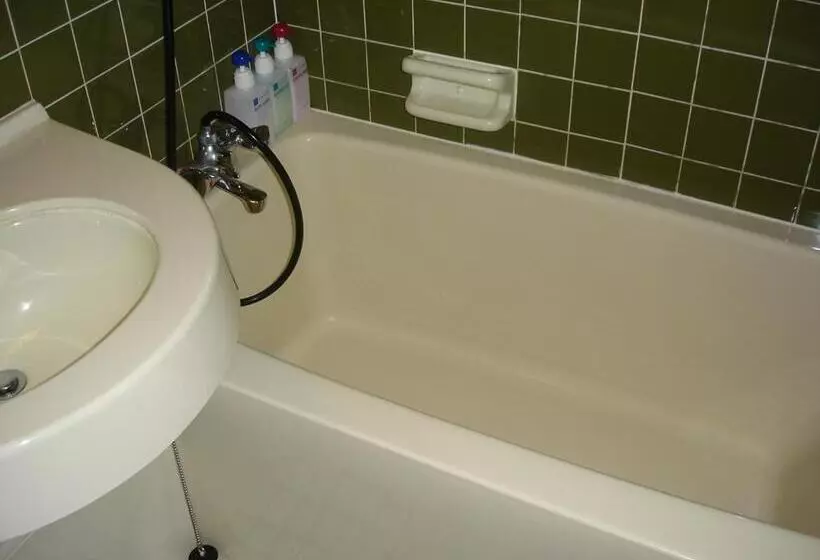 Отель Osaka Garden Palace