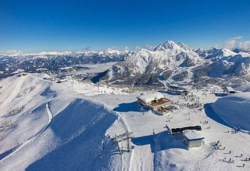 Отель Pension & Apartments Waldkrieber