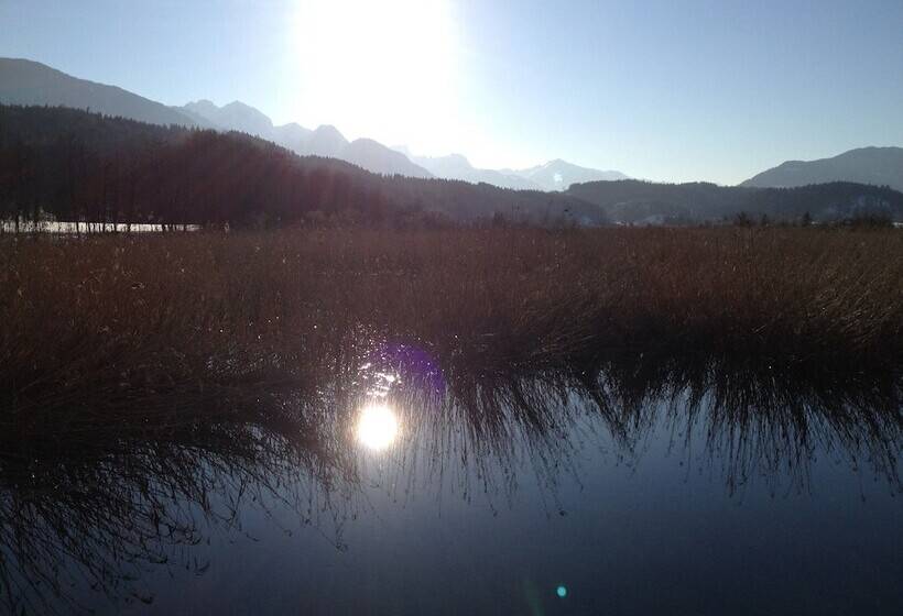 酒店 Pension & Apartments Waldkrieber