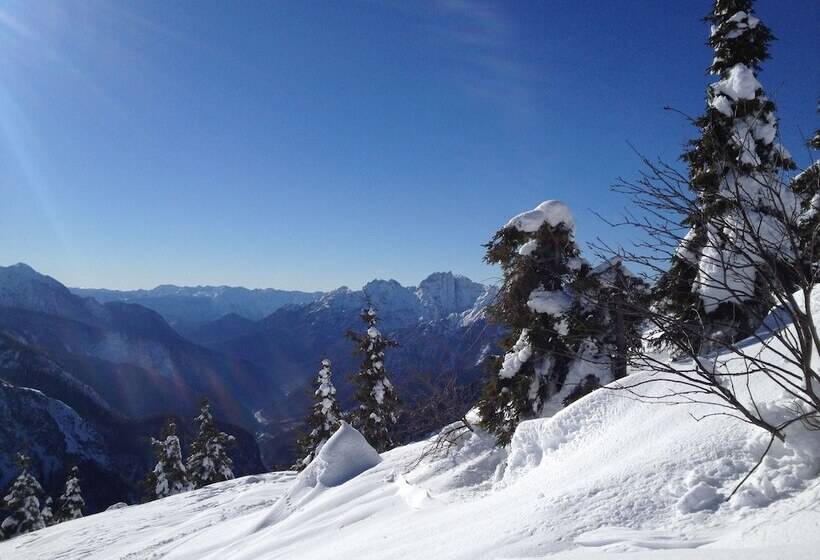 酒店 Pension & Apartments Waldkrieber