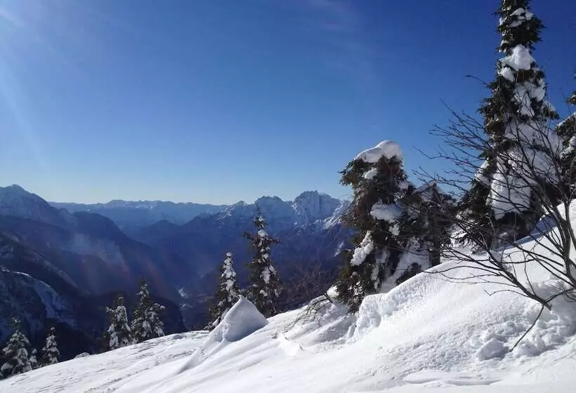 Отель Pension & Apartments Waldkrieber