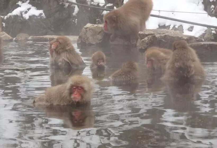 בית מלון כפרי Shibu