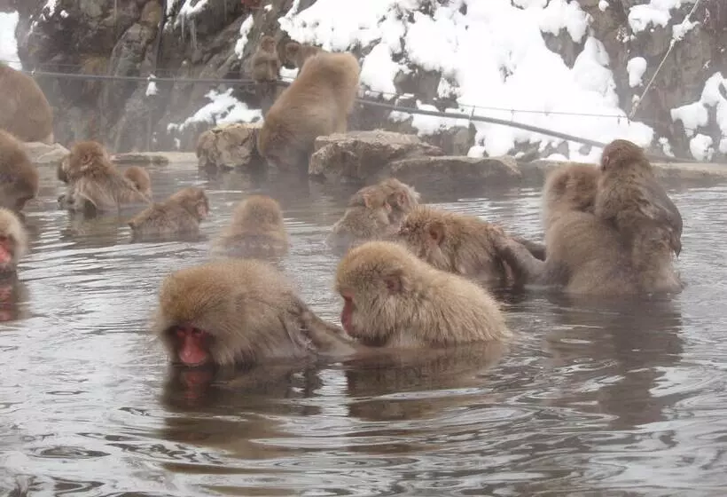 בית מלון כפרי Shibu