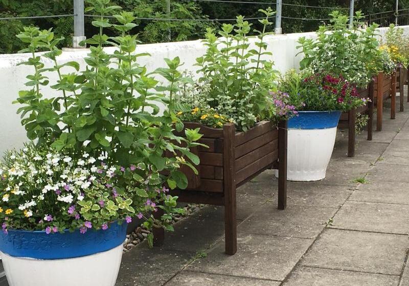 ホテル Ulmer Stuben