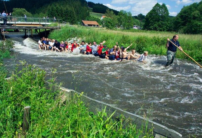 Meister Bär Hotel Frankenwald