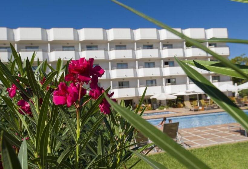 Bon Sol Prestige  Ab Group