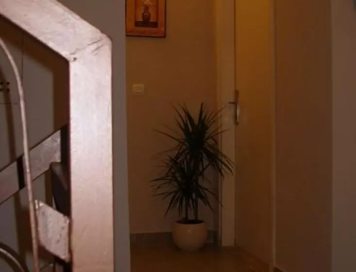 مسافرخانه Carol Rooms