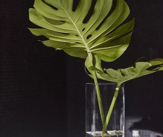 Отель Ohla Barcelona