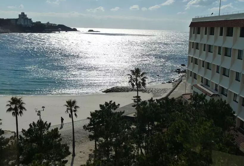 酒店 Shiraraso Grand